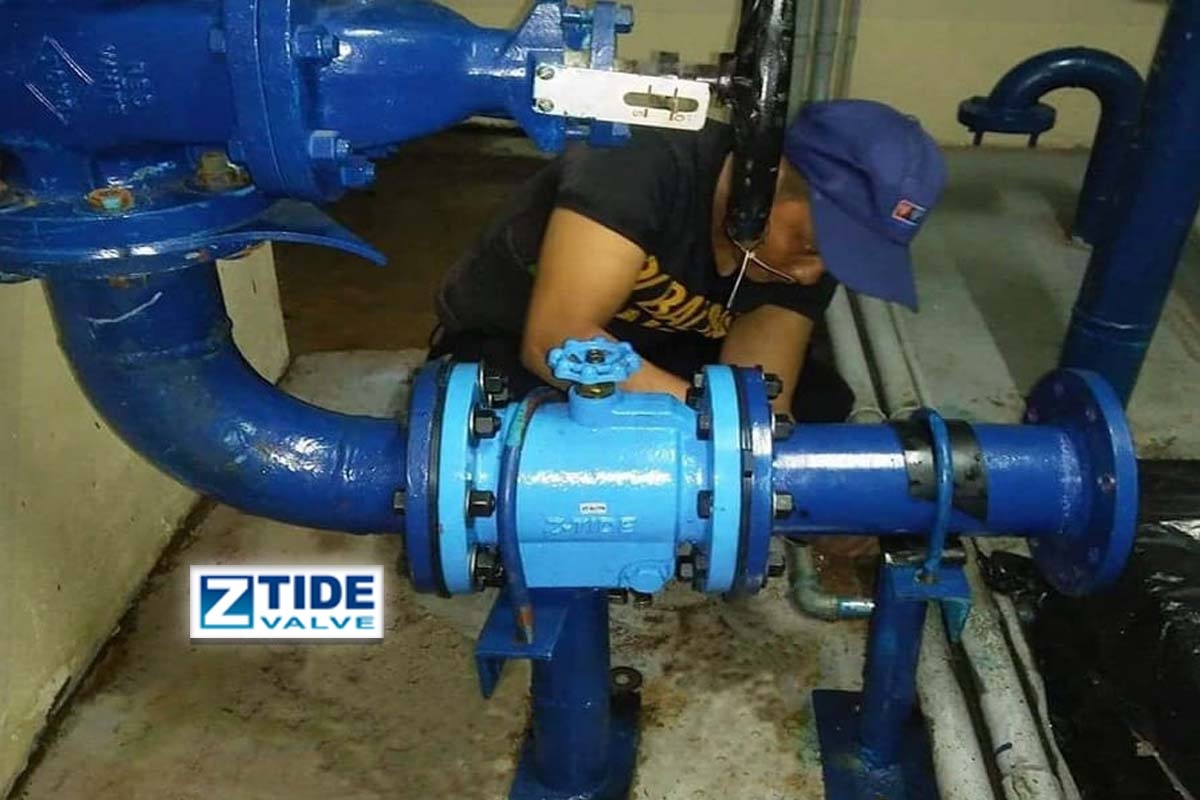 Philippines Check Valve in water work system