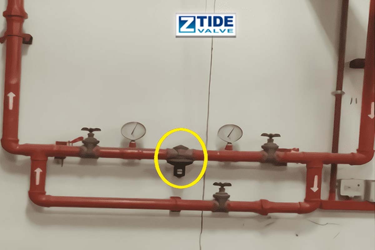 Malaysia Direct Acting Pressure Regulator (Bronze)