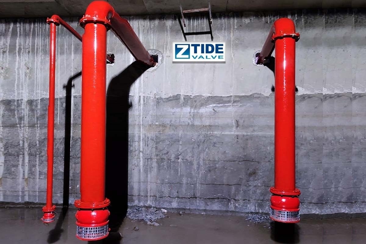 Foot Valve for Fire Protection