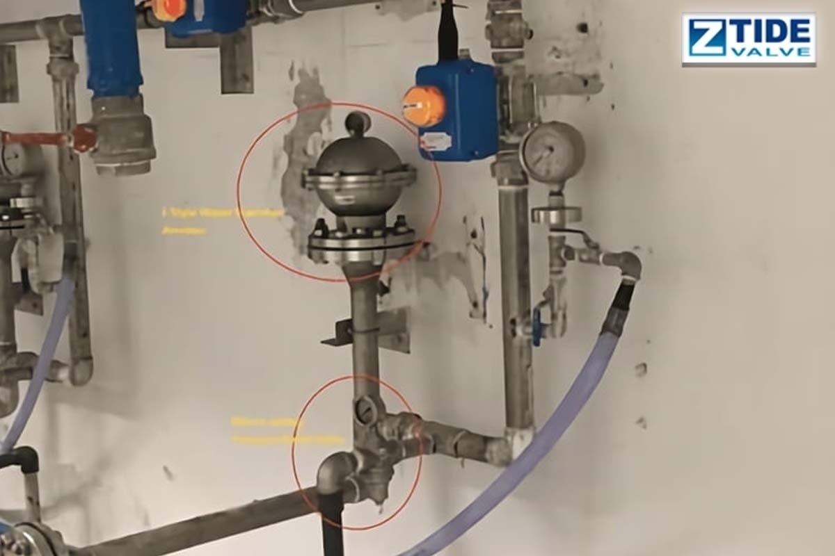 Pressure Relief Valve & Water Hammer Arrestor for Slurry Lime Factory